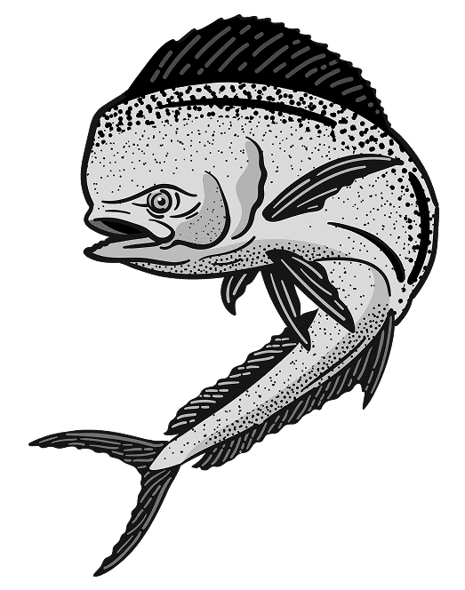 mahi-mahi fish image