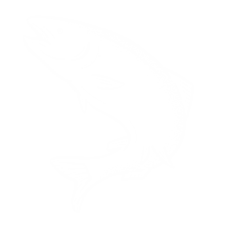 salmon image