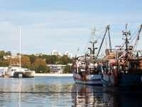 Sydney Fish Market