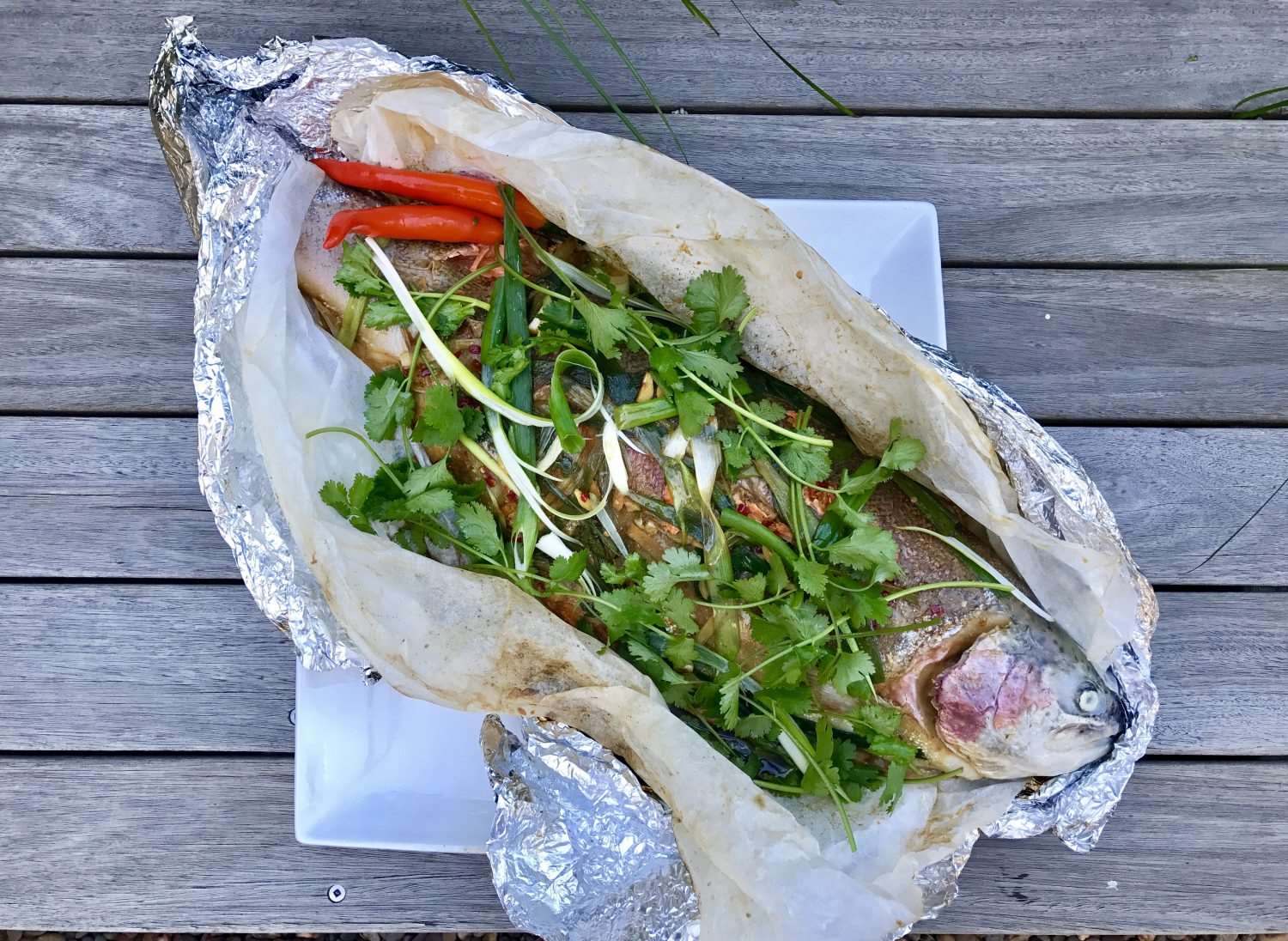 Ginger and Shallot Ocean Trout