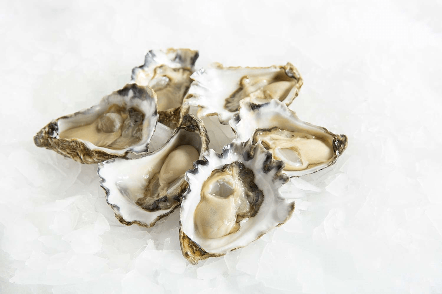  Sydney Rock or Pacific oysters? Take your pick