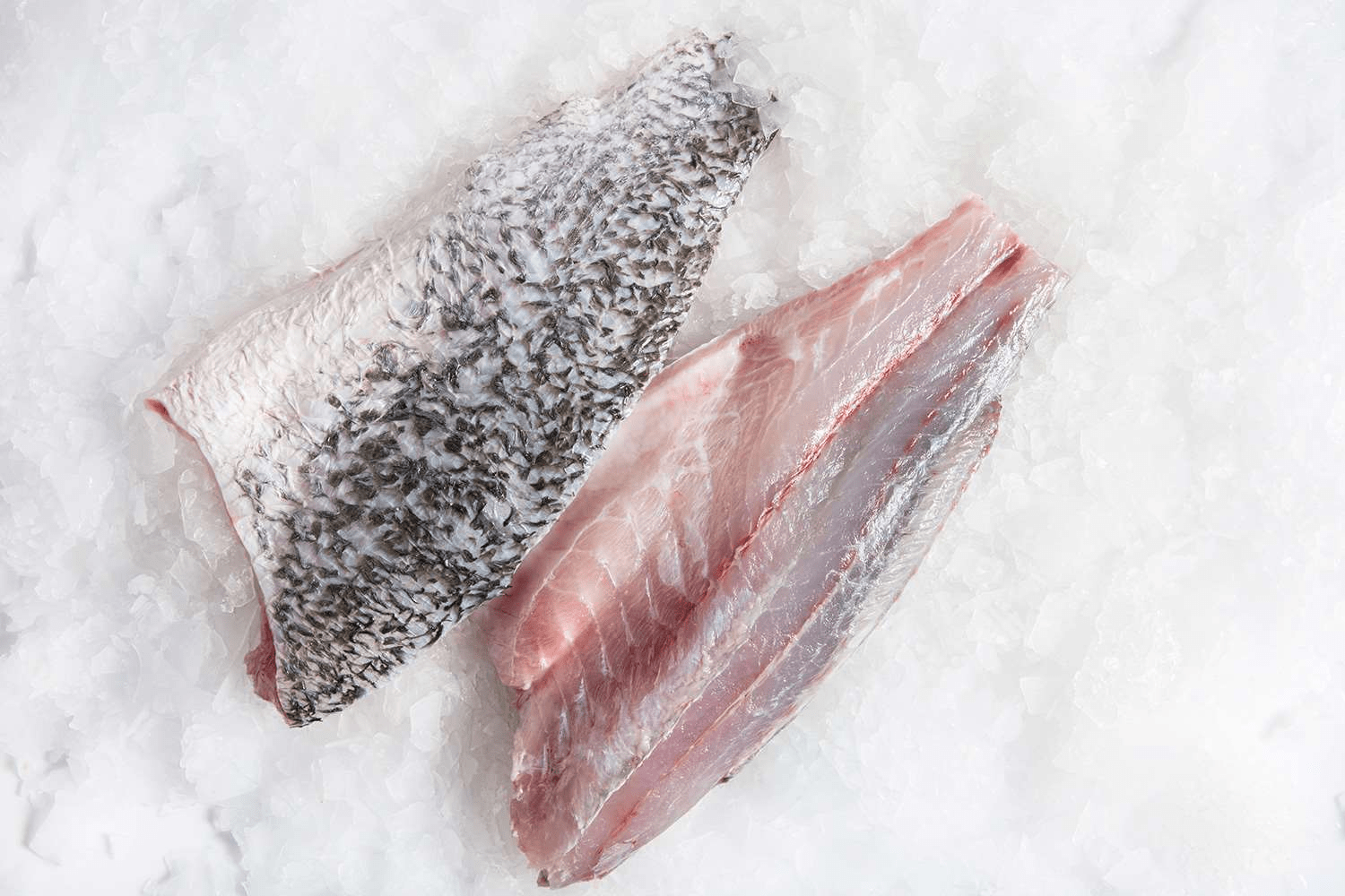  Want some grilled barramundi? These barramundi side cuts are perfect!