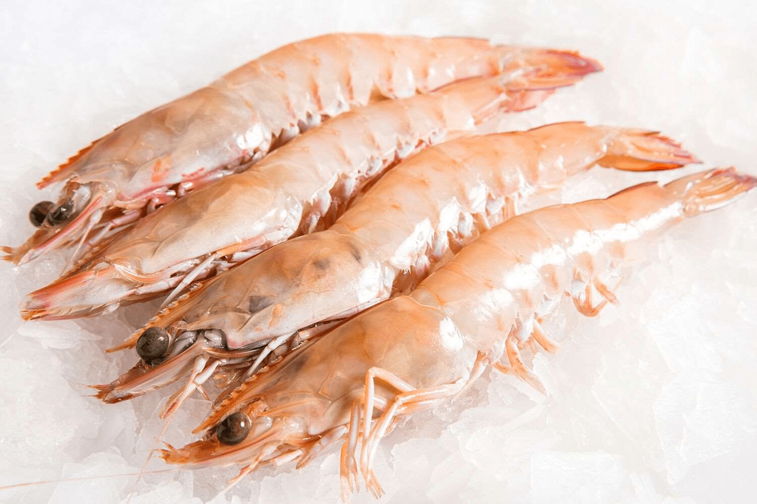 A good prawn cocktail calls for Giant King prawns.