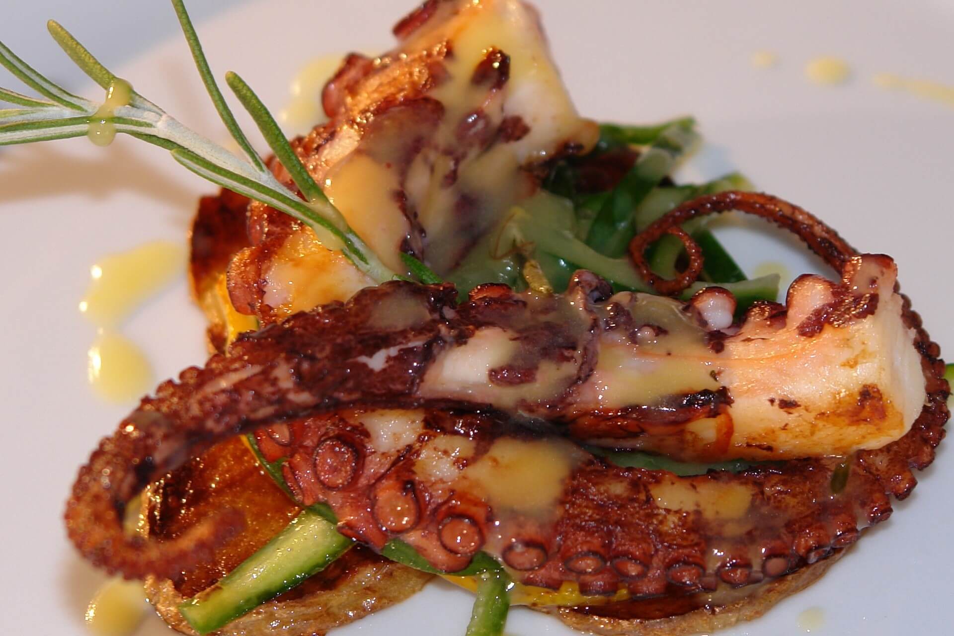 Essential-Nutrients-in-Octopus