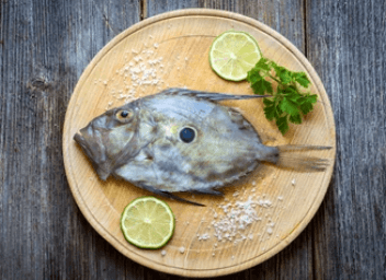 John-Dory