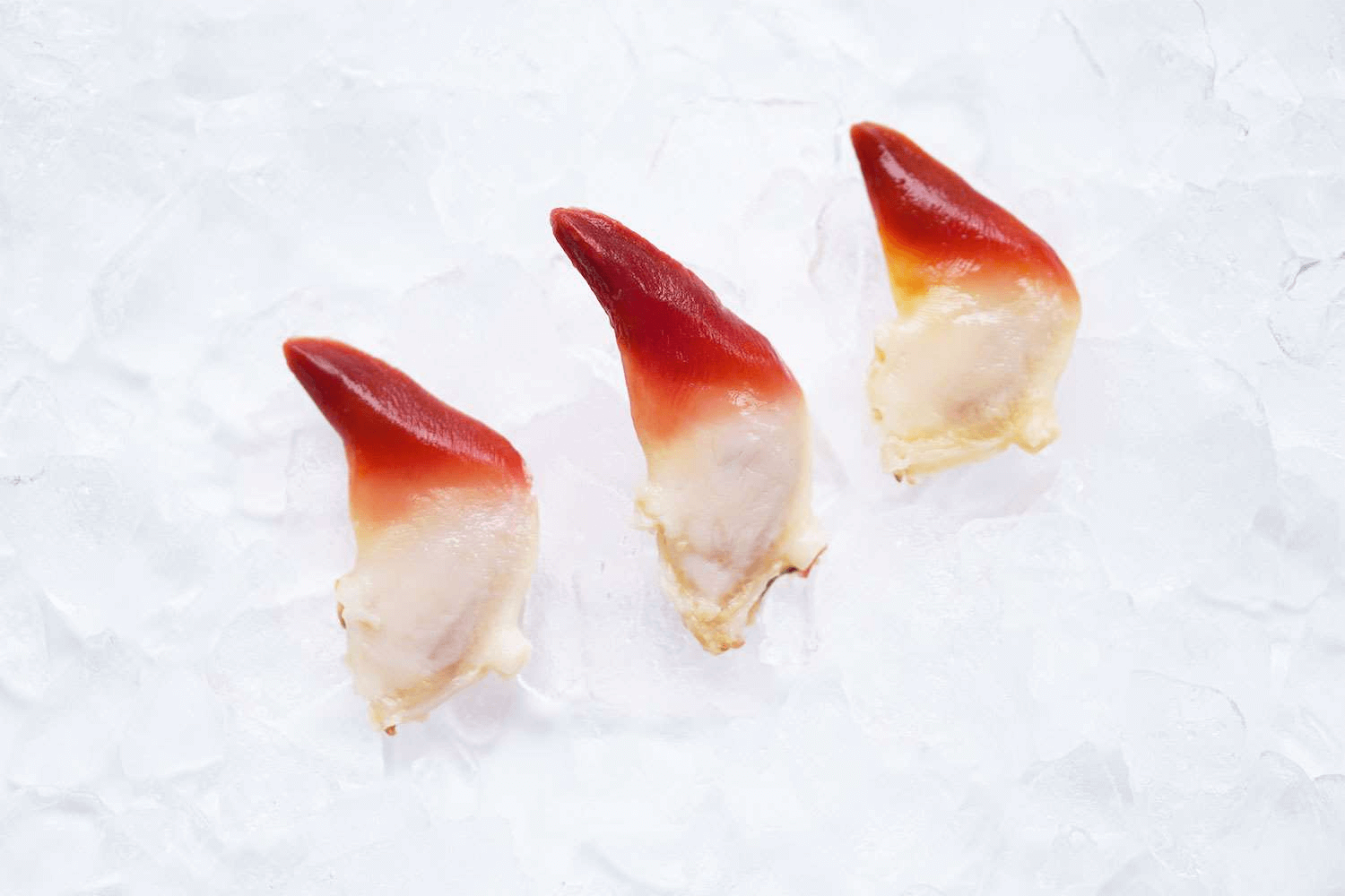 Arctic surf clams sashimi