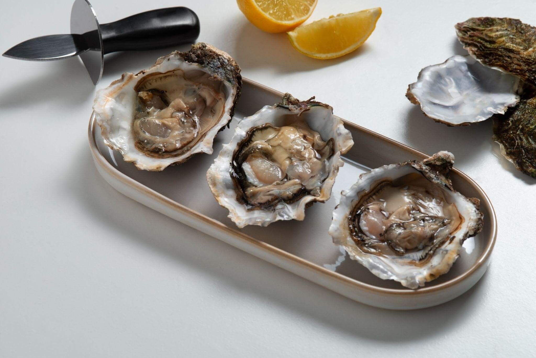 European Flat Oysters