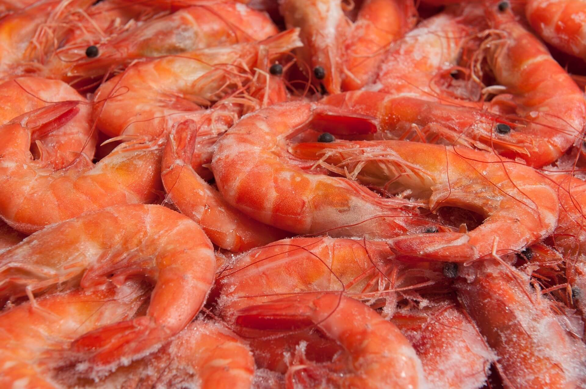 Frozen pre-boiled prawns