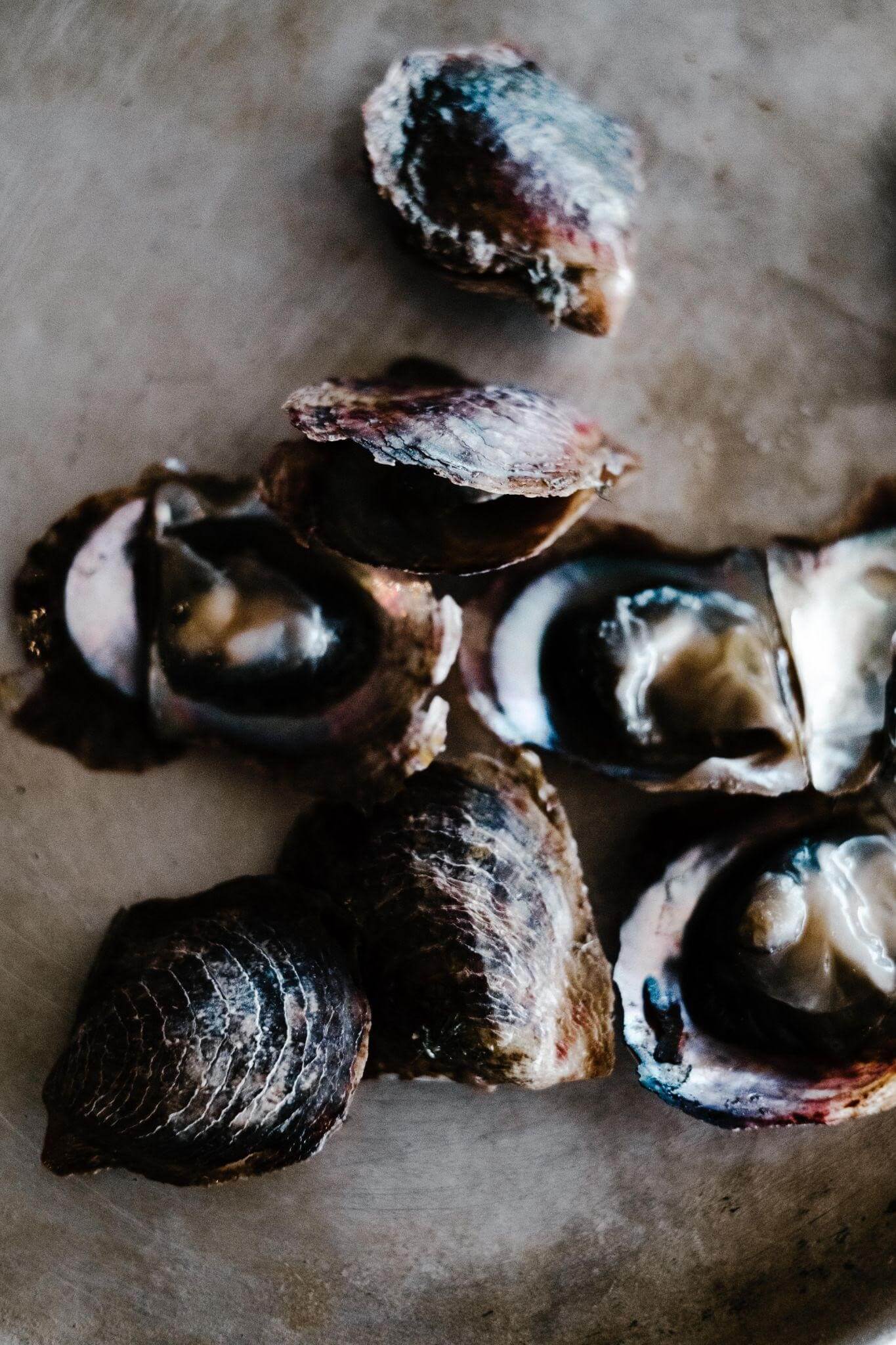 Kumamoto Oysters