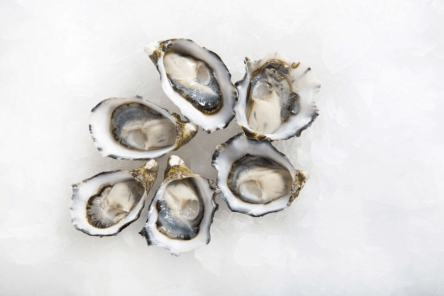 Pacific Oysters