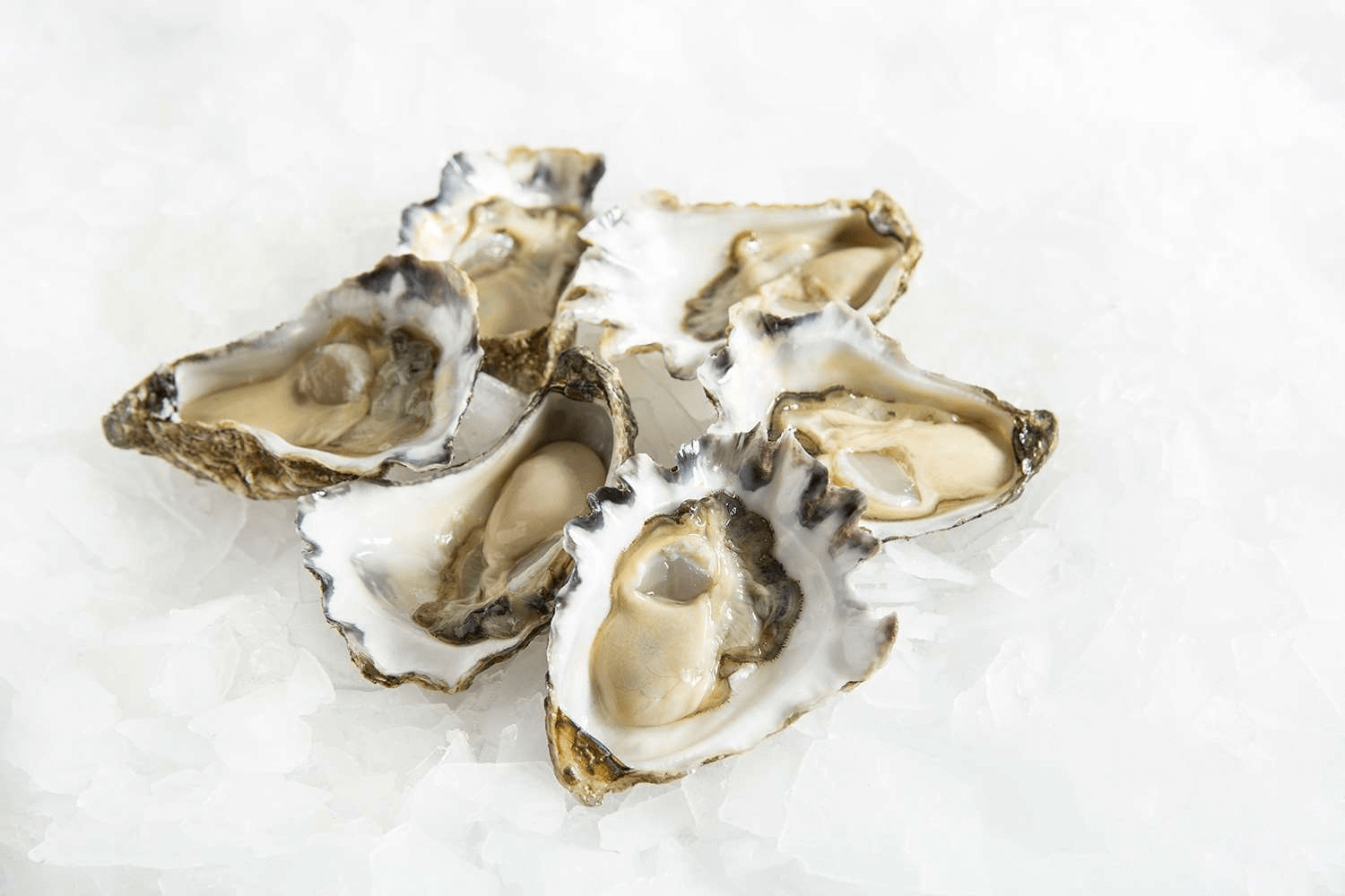 Sydney rock oysters