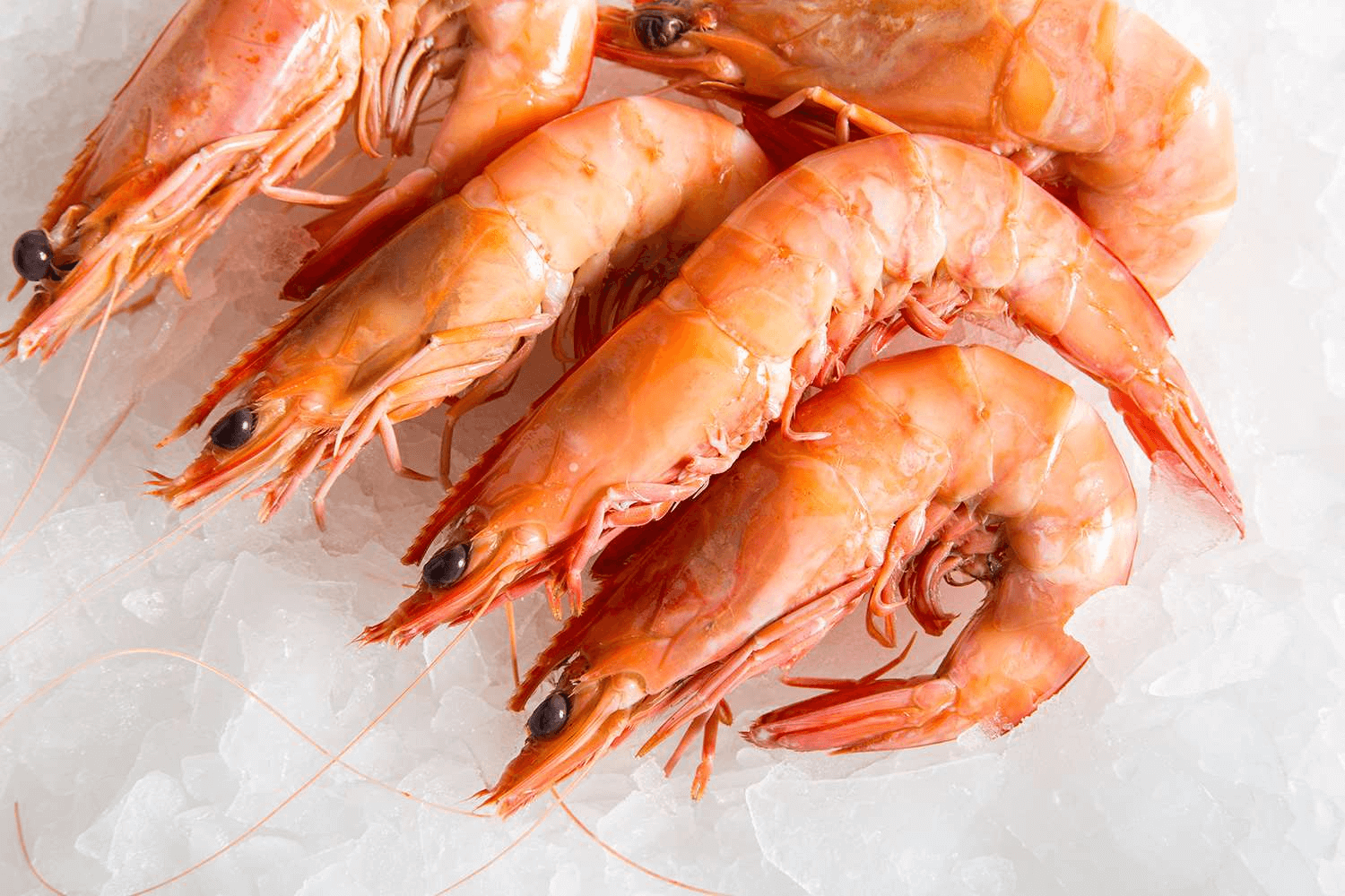 large, cooked prawns