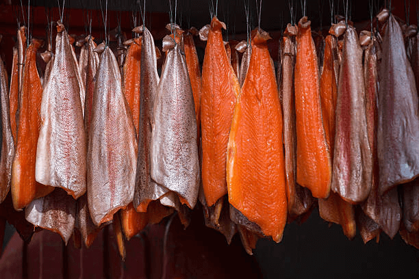 Salmon fillets hanging and ready to smoke