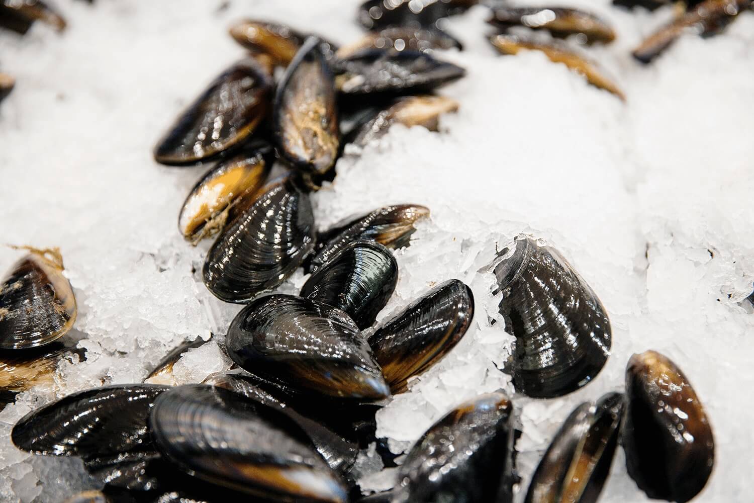 Steamed mussels