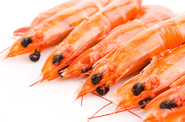 Prawn Heads in Your Kitchen