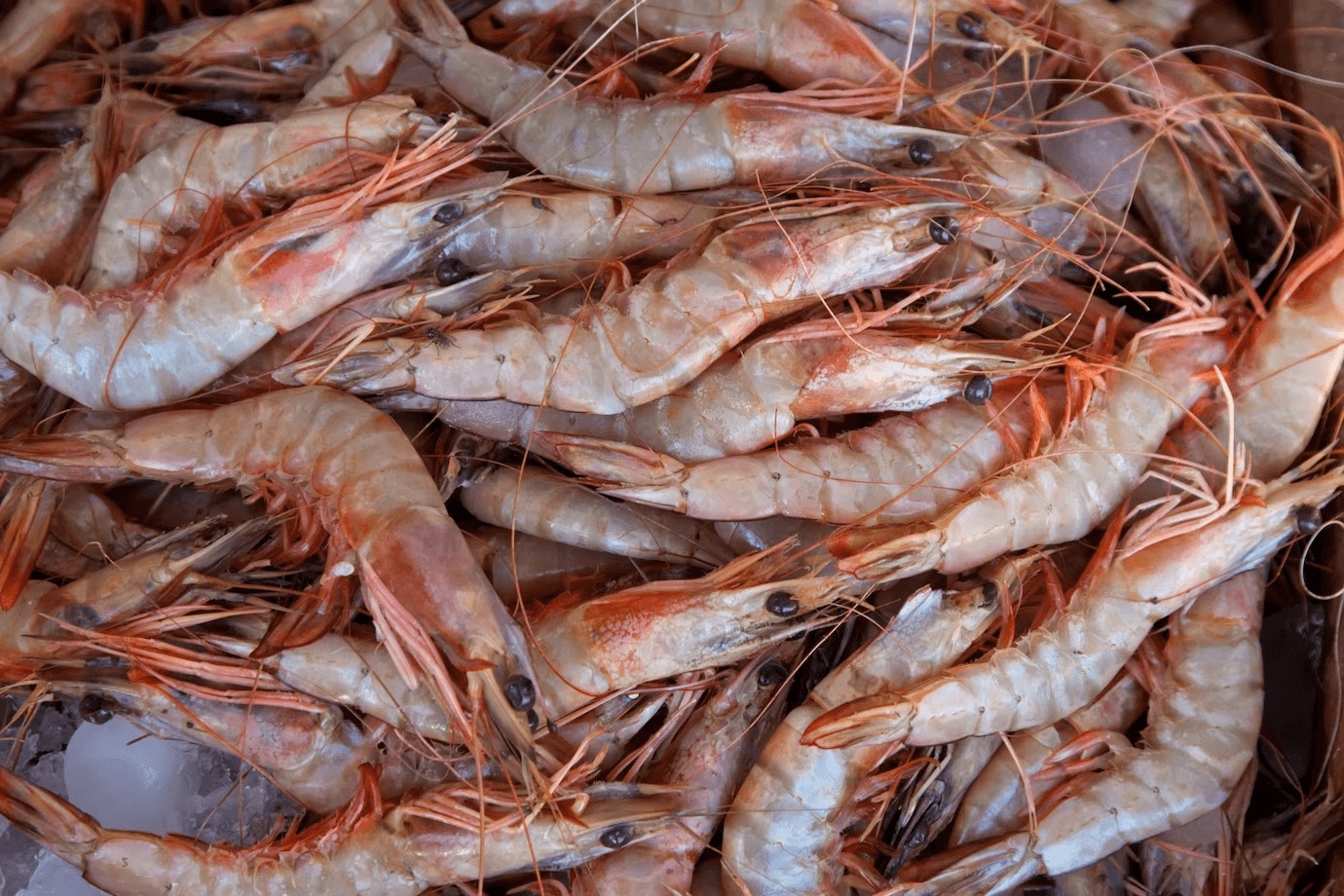 From Waste to Delicacy: Crafting Prawn Oil