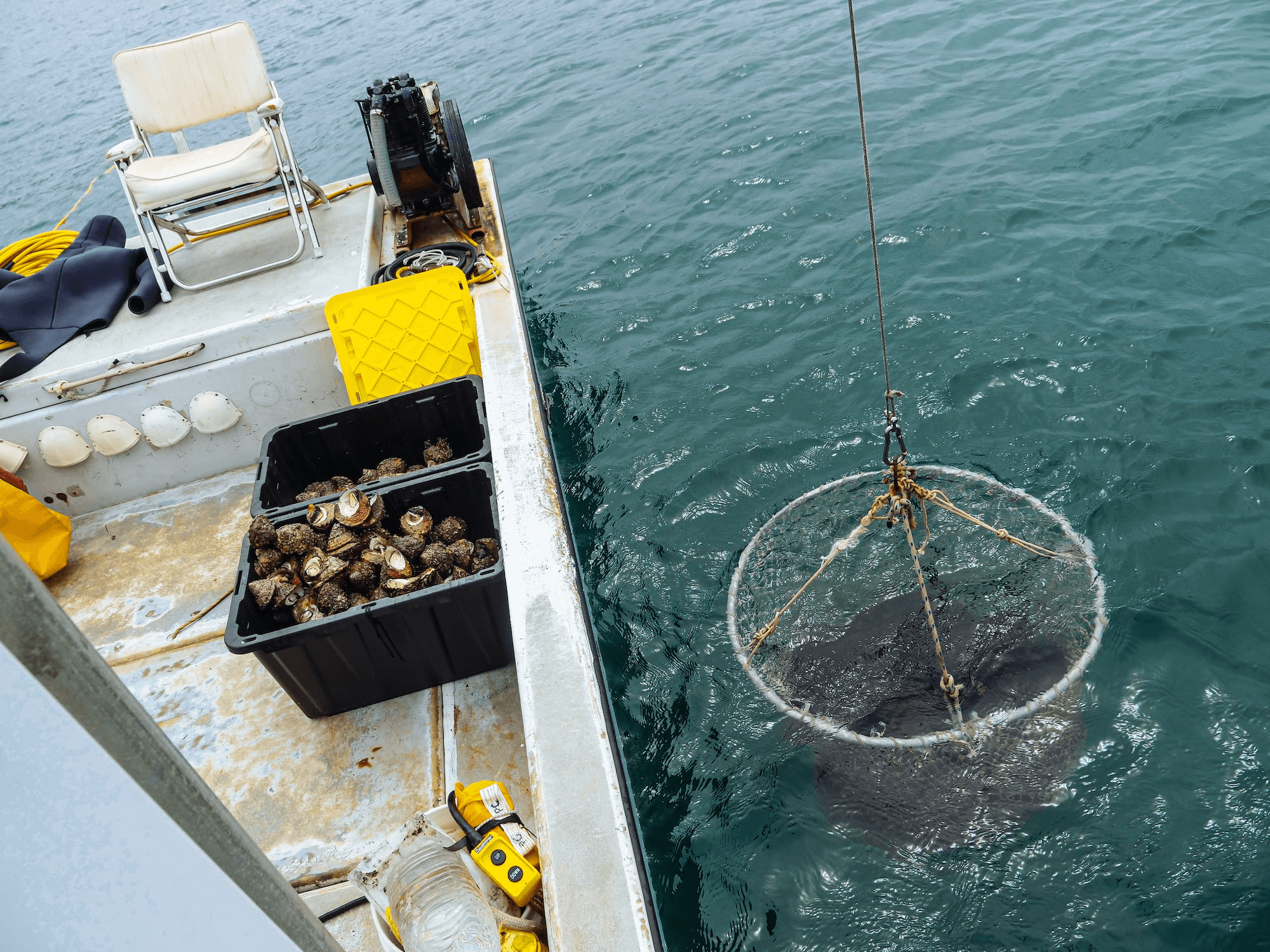 Commercial fishing plays a significant role in the seafood industry.