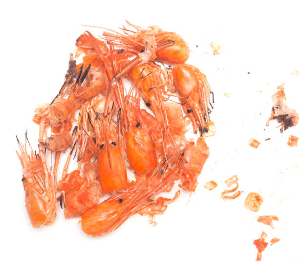 Nutritional Benefits of Prawn Heads