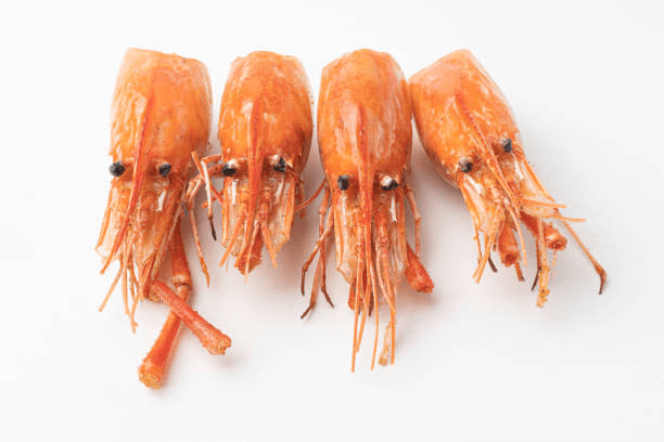 Crafting Flavourful Prawn Stock