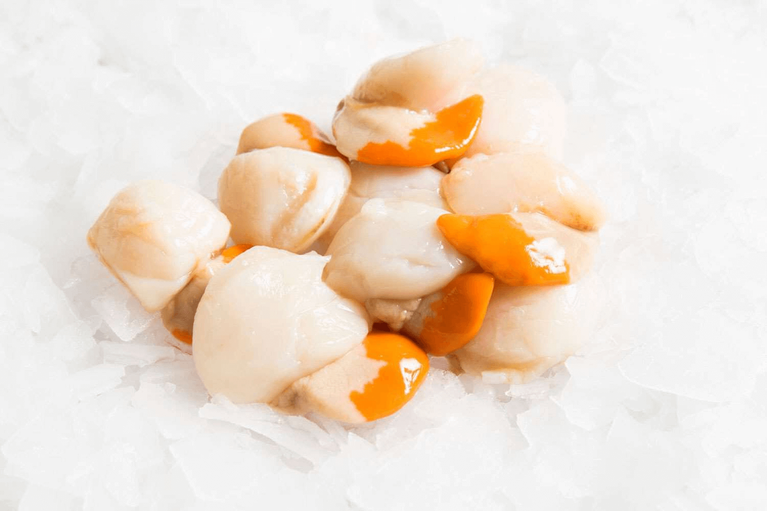 These half-shell Hokkaido scallops are perfect for pasta or mornay.