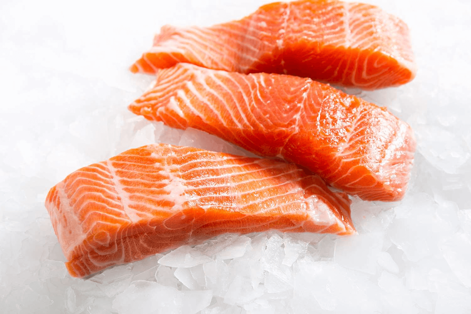 Ocean trout fillet